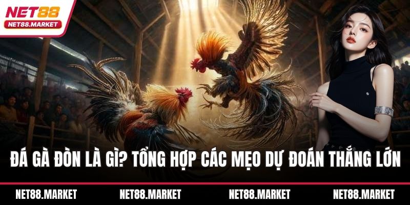 đá gà đòn